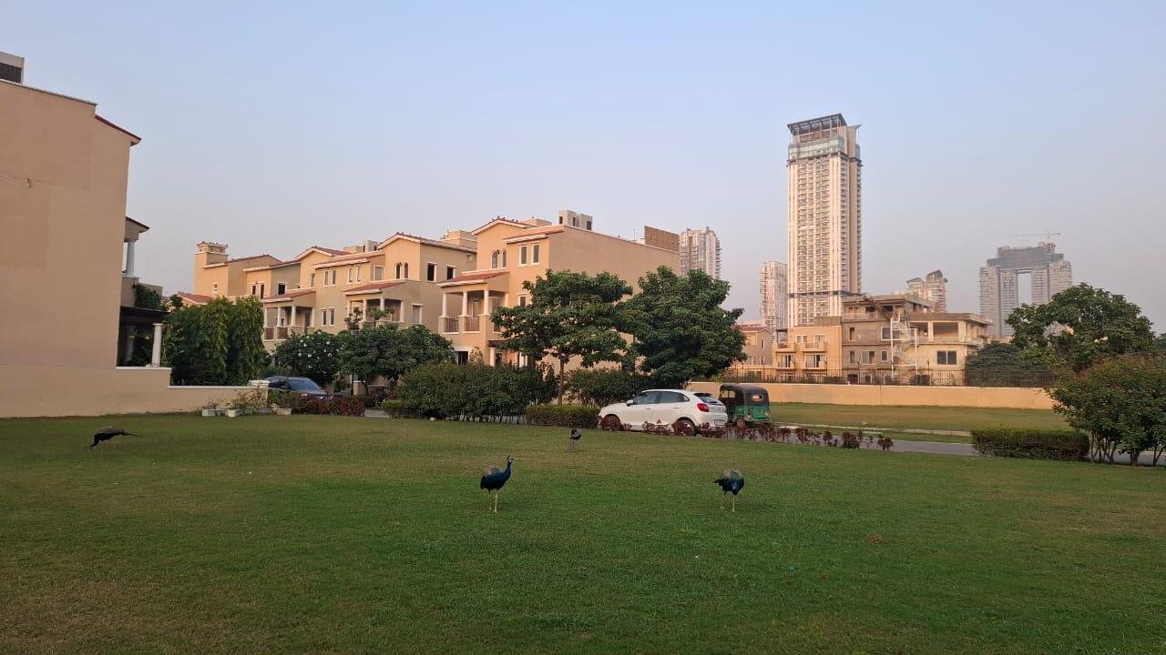 3 BHK Independent Builder Floor in Sector 66, Gurgaon 1