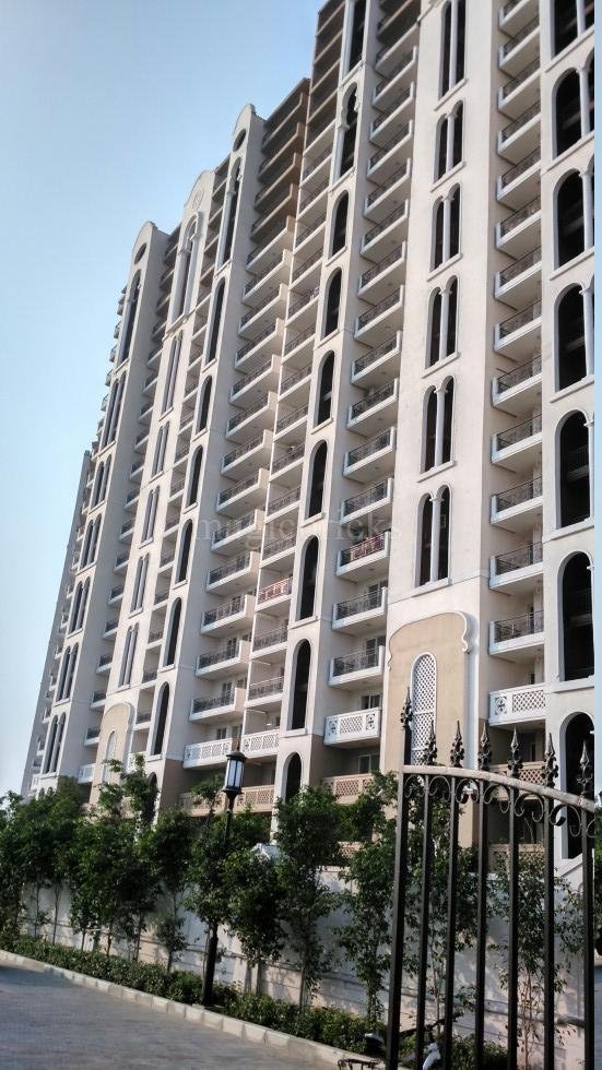 Project-Photo-55-DLF-New-Town-Heights-Gurgaon-5022735_980_551