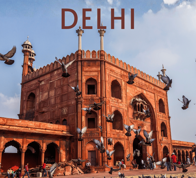 Home Default 77 Delhi